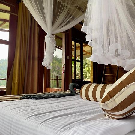 Rustic Cottage إيلا المظهر الخارجي الصورة