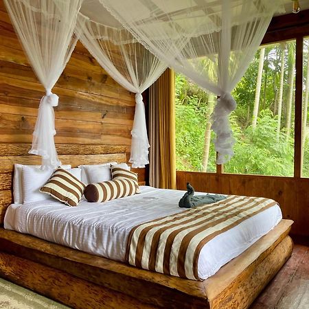 Rustic Cottage إيلا المظهر الخارجي الصورة