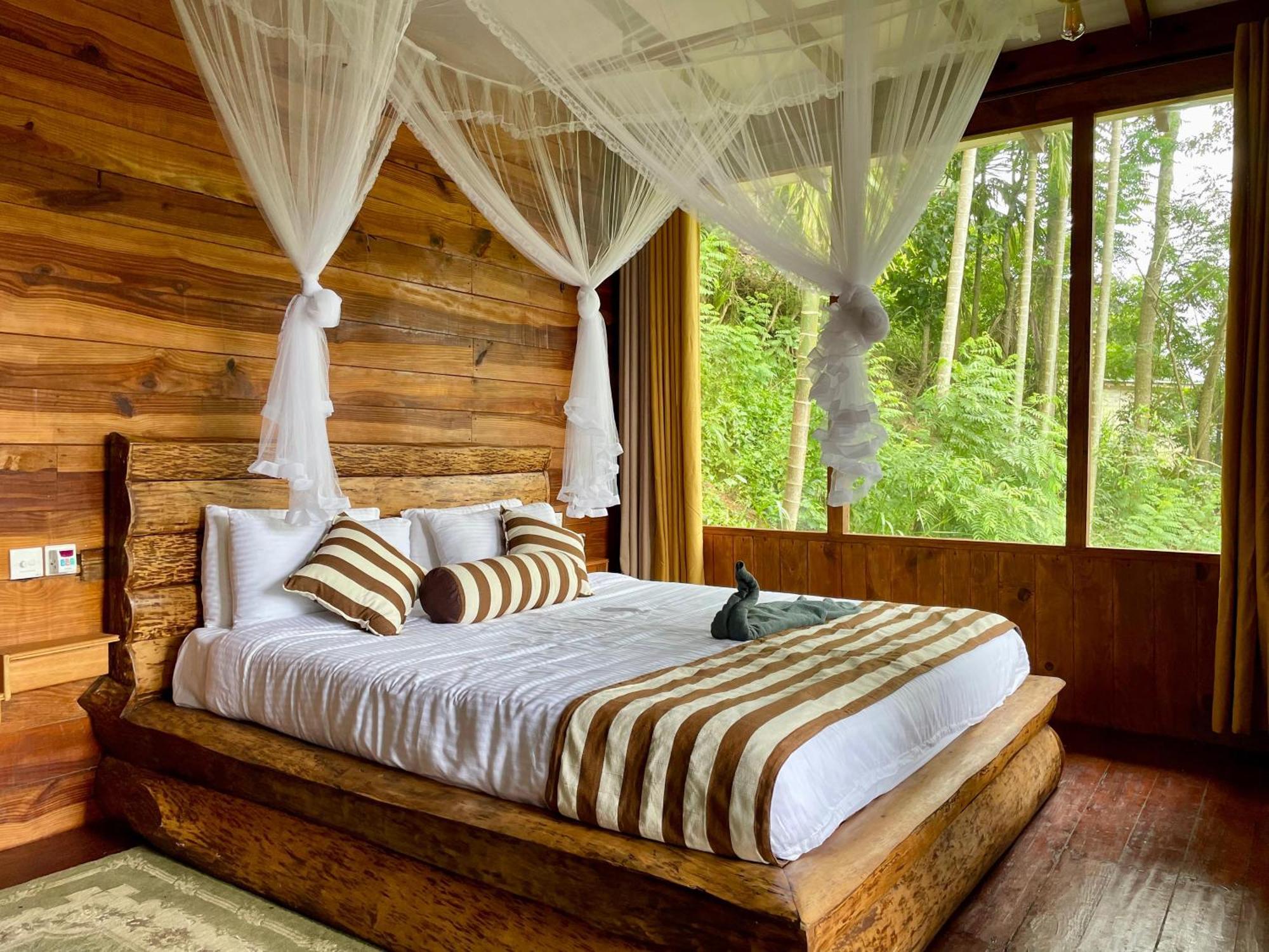 Rustic Cottage إيلا المظهر الخارجي الصورة