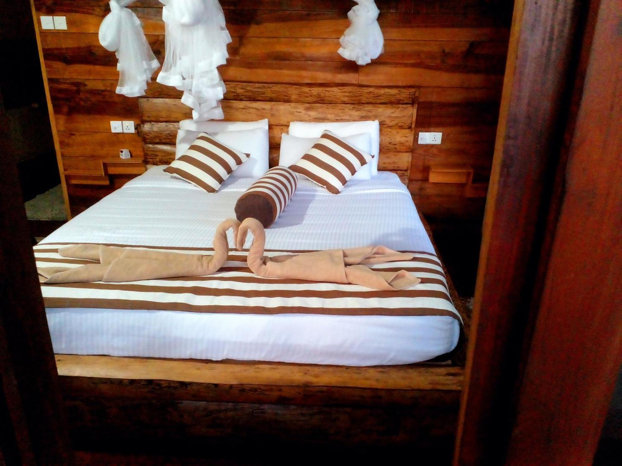 Rustic Cottage إيلا المظهر الخارجي الصورة